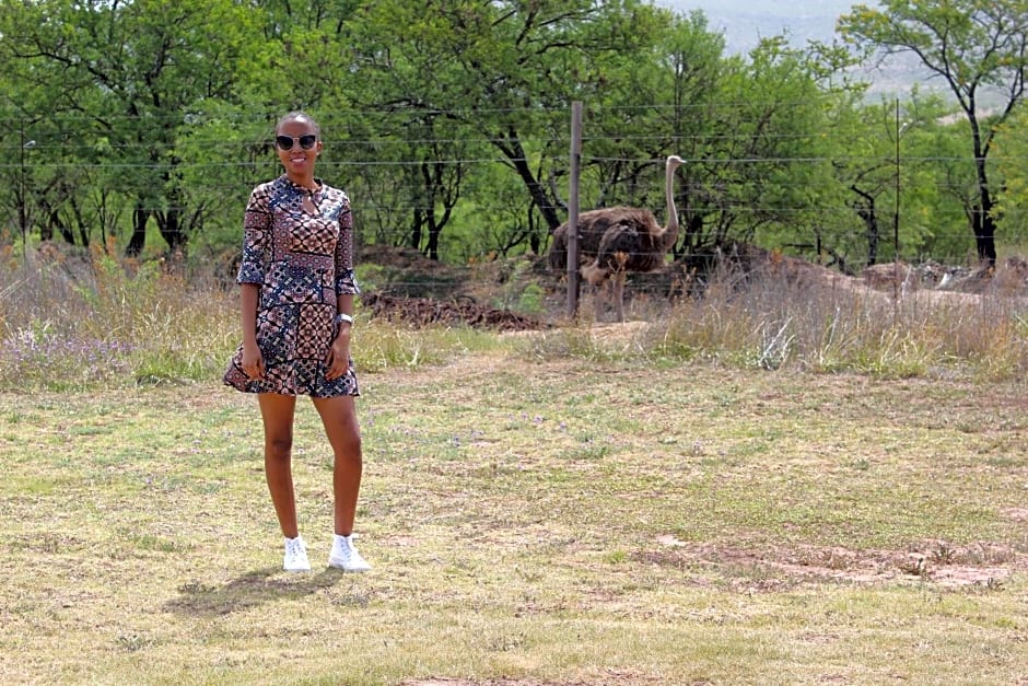 a Dam's View Accommodation