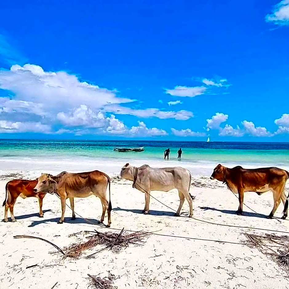 Sipano Beach Lodge Zanzibar