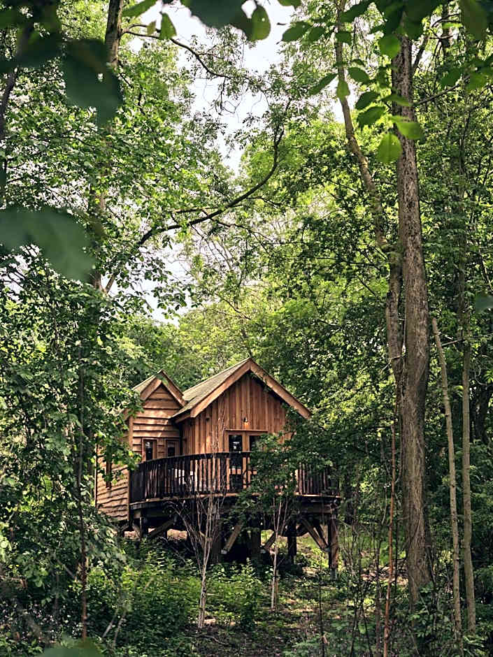 Wildhive Callow Hall