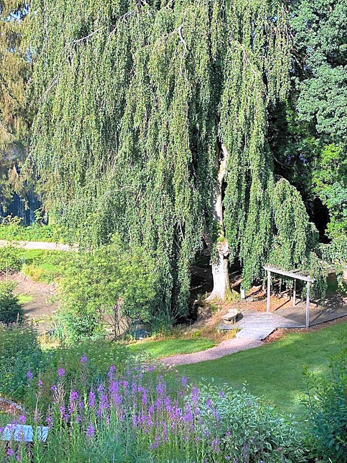 Parkhotel Villa des Effats Vielsalm