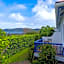 Guinea Fowl Lodge - Lagoon & Heads View B&B, Central Knysna