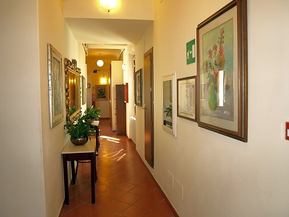 Maxim Firenze
