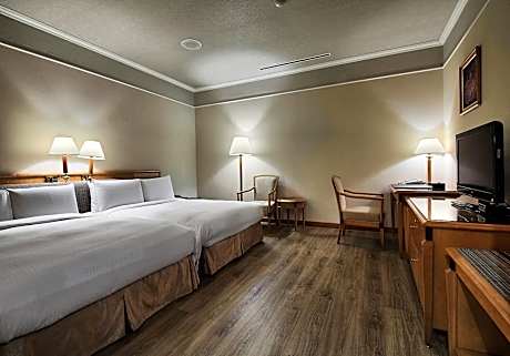 Standard Twin Room - no window