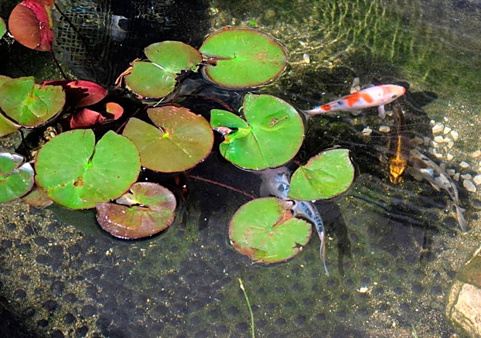 Chambres d'hôtes Coté Halles