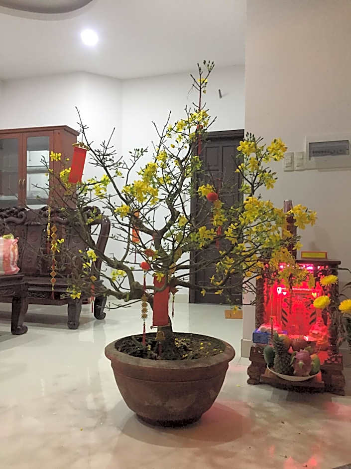 Smart Garden Homestay