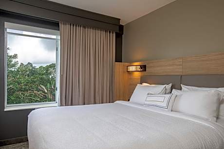 King Suite with Sofa Bed - Hearing Accessible