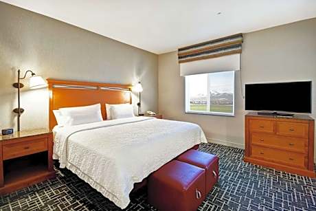 King Studio Suite with Sofa Bed - Non-Smoking