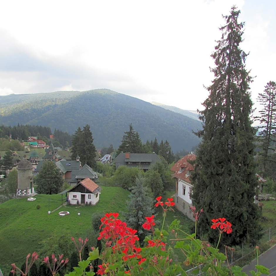 Hotel Marea Neagra Sinaia