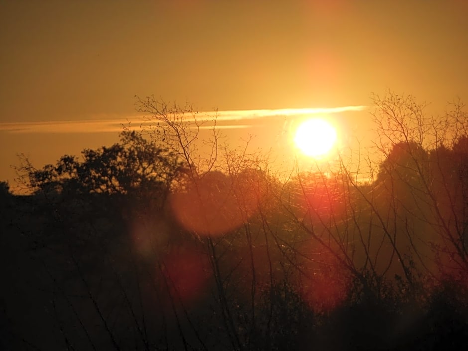 Chambre D'hôtes La Basse Gougeonnière