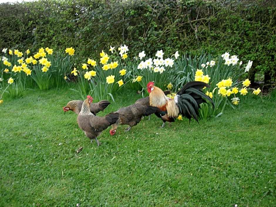 Pointers Guest House