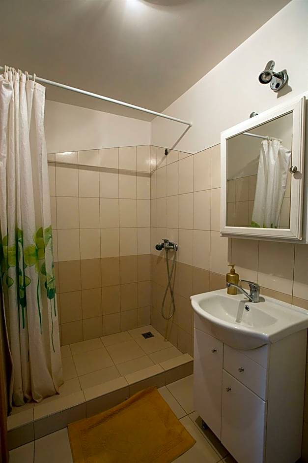 Svečiuose pas Aldoną