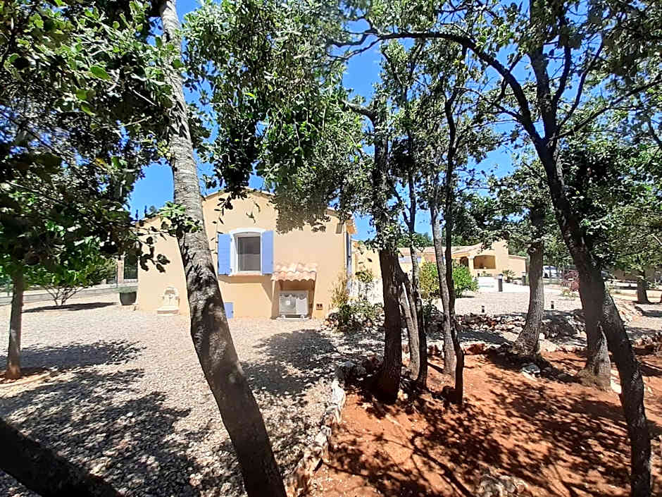 Authentique mas avec piscine en Provence