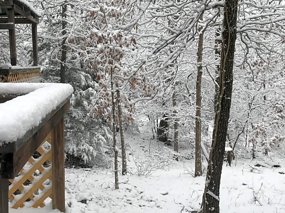 Norfork Lake Ozark Mountain Lodge