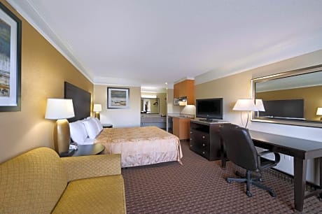 1 King Bed Efficiency Non-Smoking