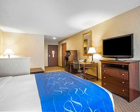 1 King Bed Suite Nonsmoking