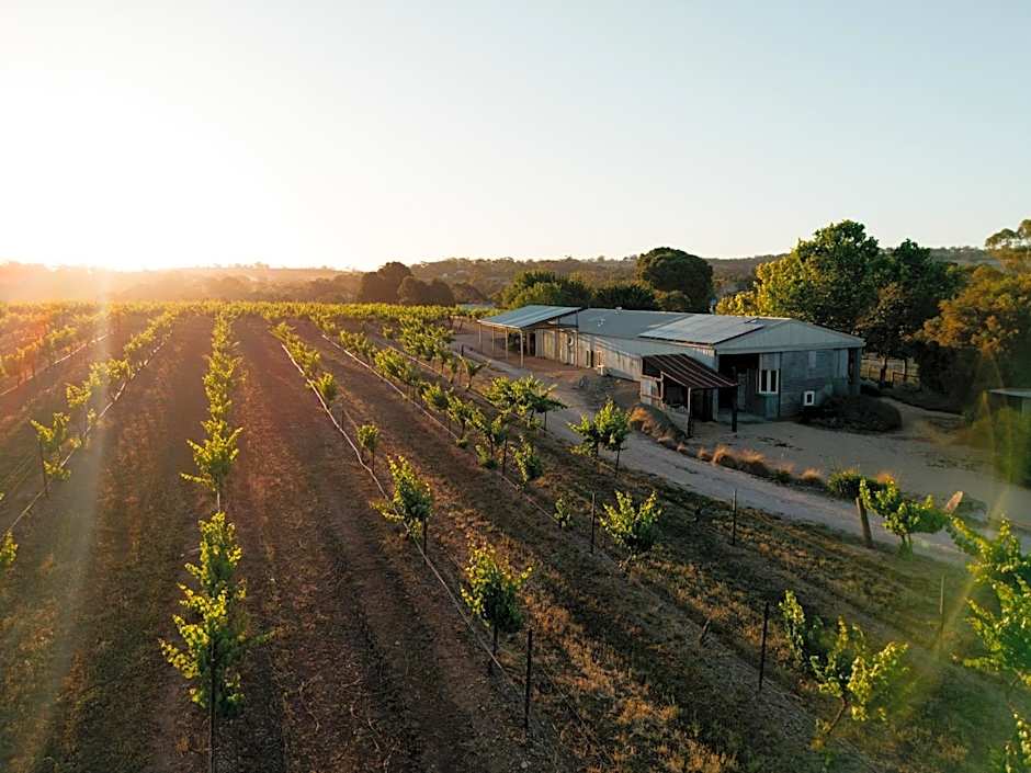 Bed in a Shed Vineyard Stay