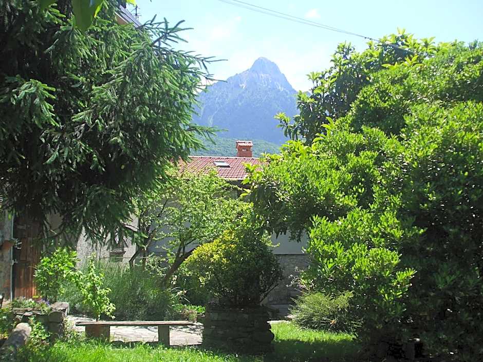 Casa Visnenza Bed & Breakfast