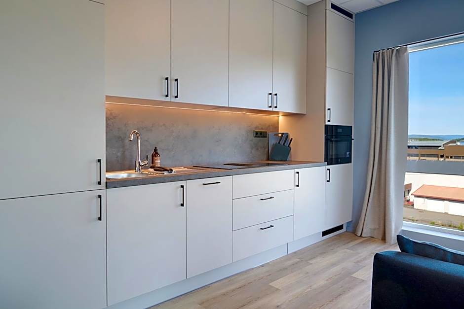 Horten Apartment