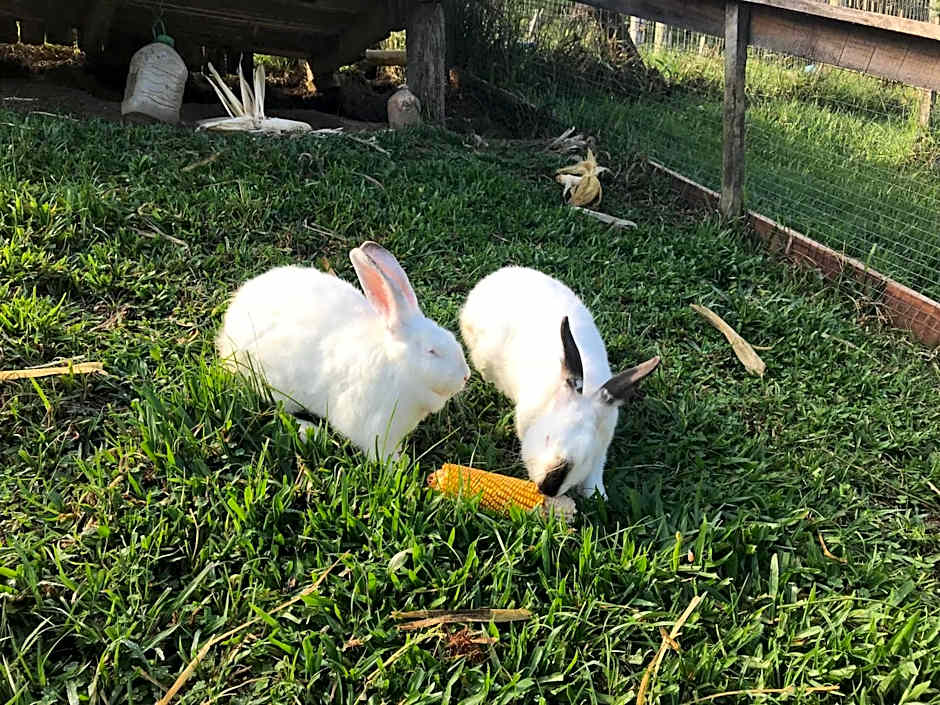 Pousada das Hortênsias