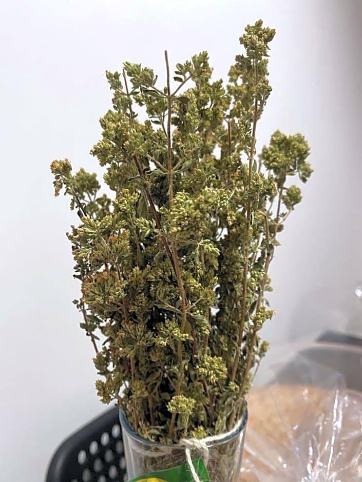 Co Mó - Camera a Sud - Affittacamere