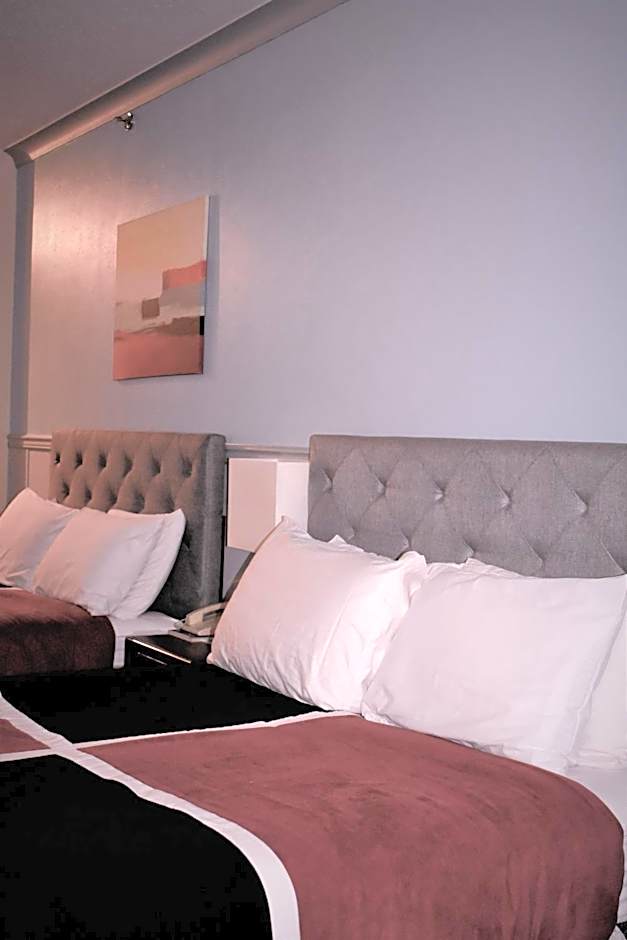 Elite Hotel -Downtown Center- "Ski & Northern light Tour" "Hot Spring Tour "Long-term stay"