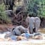 Sable Creek Safari Lodge