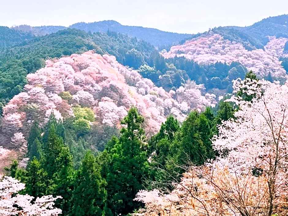 Yado Charinko