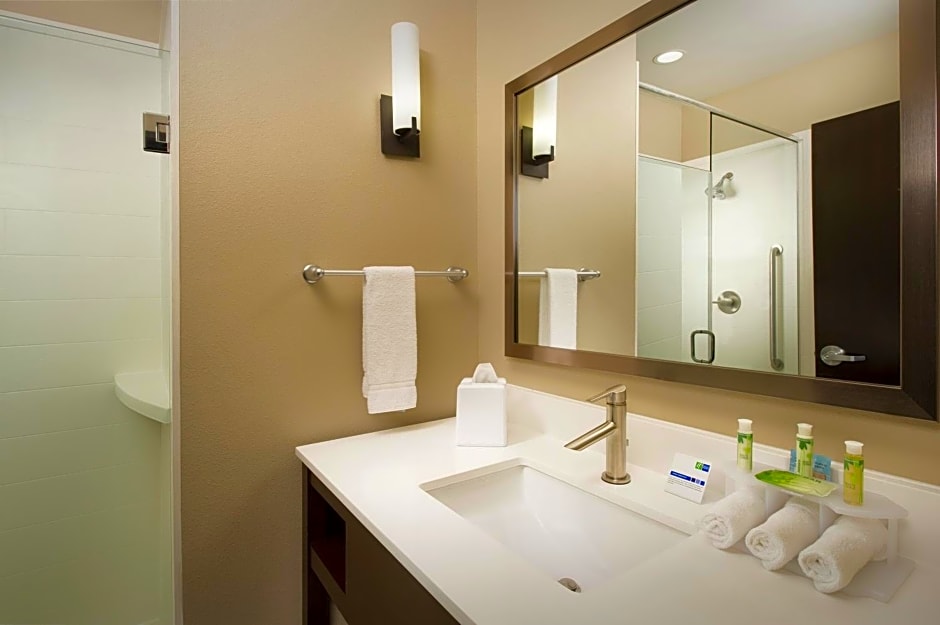 Holiday Inn Express Hotel & Suites Waco South