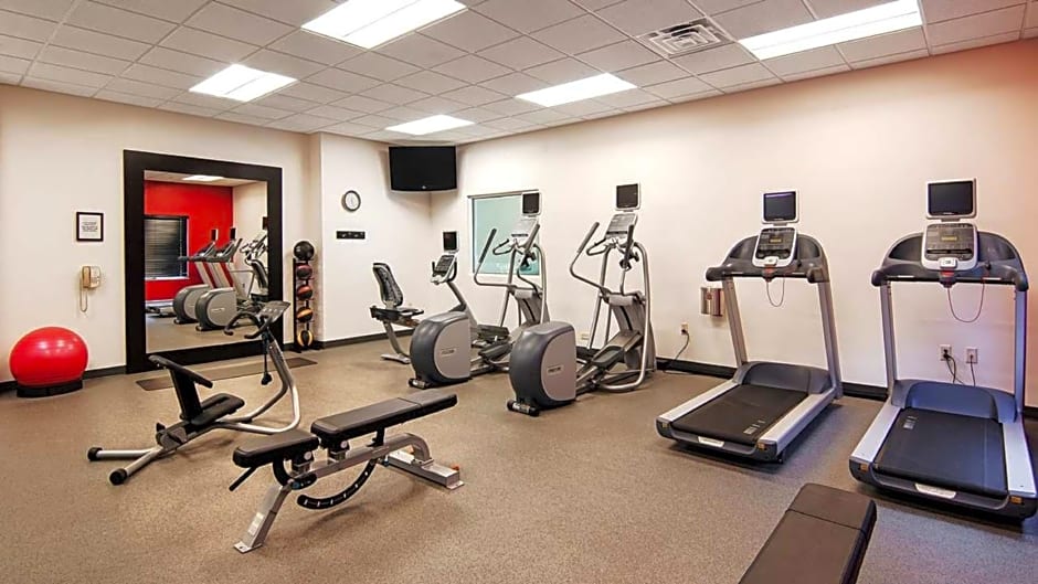 Hilton Garden Inn Dubuque Downtown