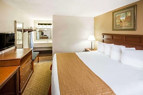1 King Bed Non-Smoking