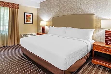 1 King Bed  Non-Smoking Desk Microwave And Refrigerator Keurig Coffee Maker Full Breakfast