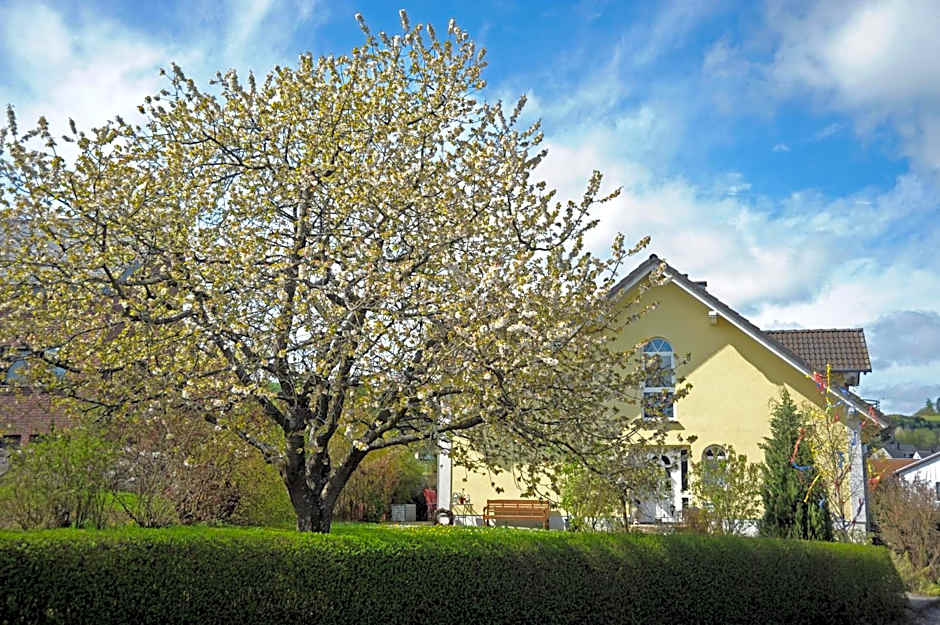 Ferienwohnung Landfein Schalkenmehren