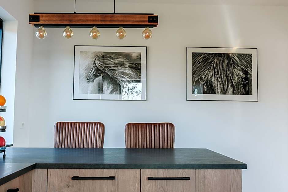 Fellskotshestar Guesthouse