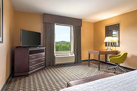 1 King Bed Shower Only Nonsmoking