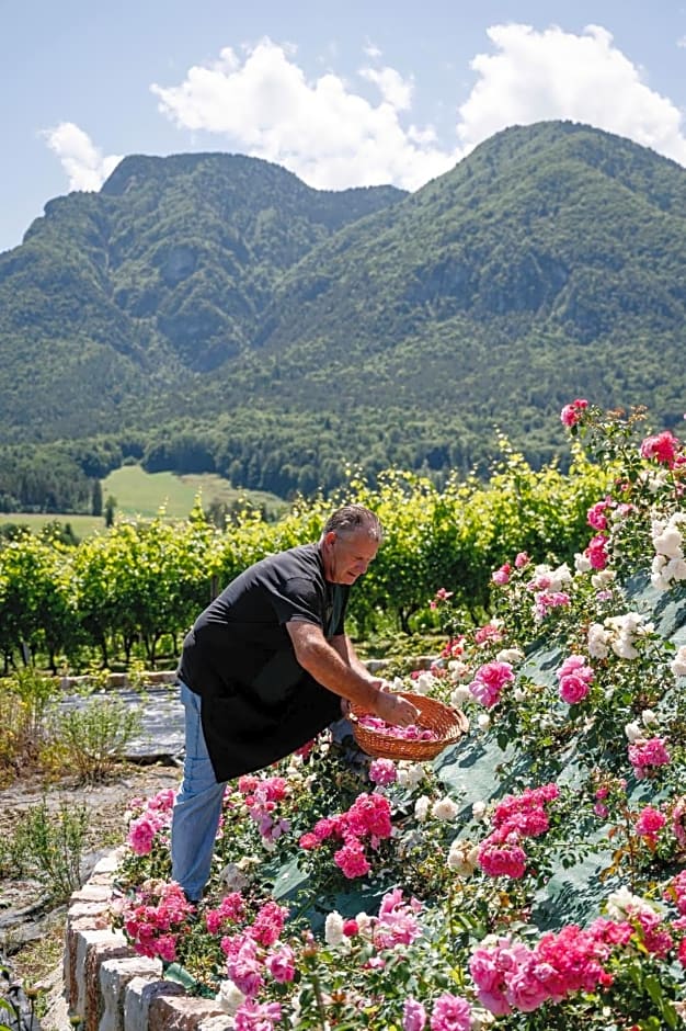 Agritur Maso alle Rose B&B e Restaurant