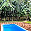 Chiang Dao Reset
