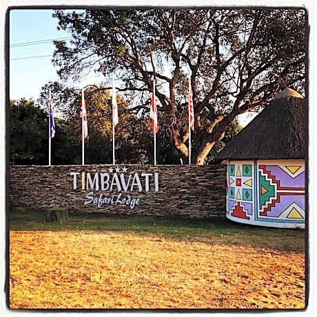 Timbavati Safari Lodge