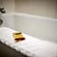 Best Western Plus Dubuque Hotel And Conference Center
