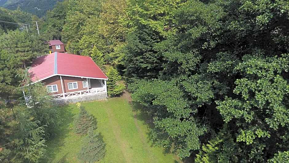 Feel & Live Hotel Villas Restaurant Sapanca