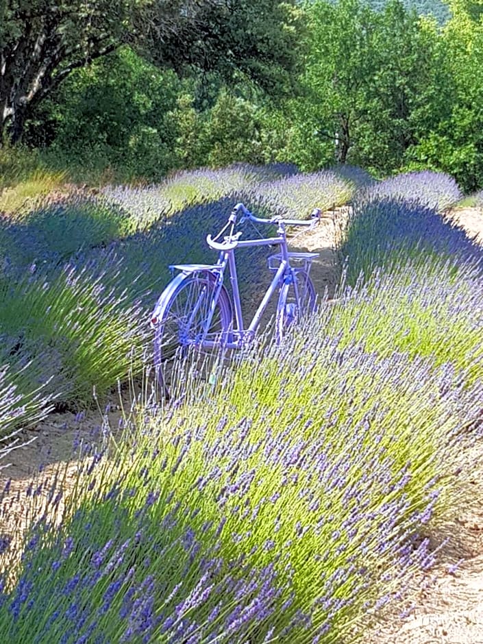 Les Néfliers chambre d'hôtes