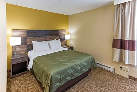 1 Queen Bed, Suite, Nonsmoking