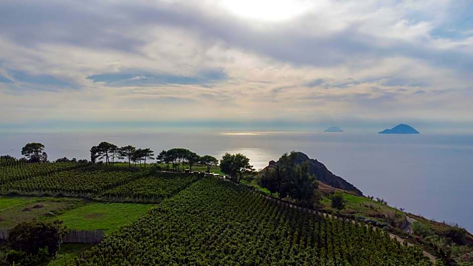 Tenuta di Castellaro Winery & Resort