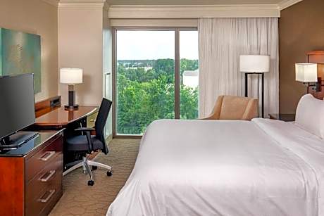 King Room with 1 King Bed