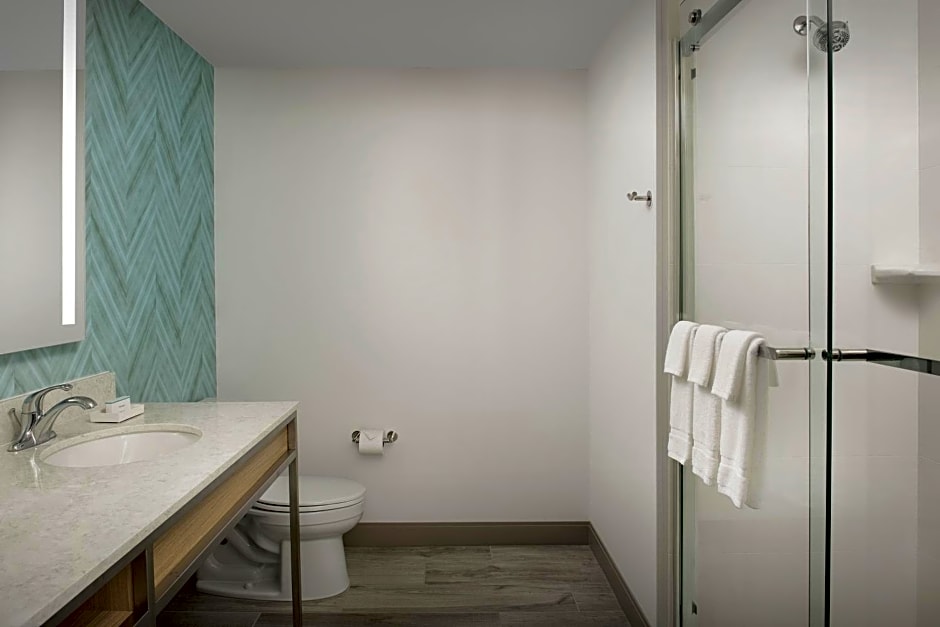 Hilton Garden Inn Orlando Downtown