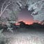 Kameel Rust and Vrede B & B, Camping and Venue