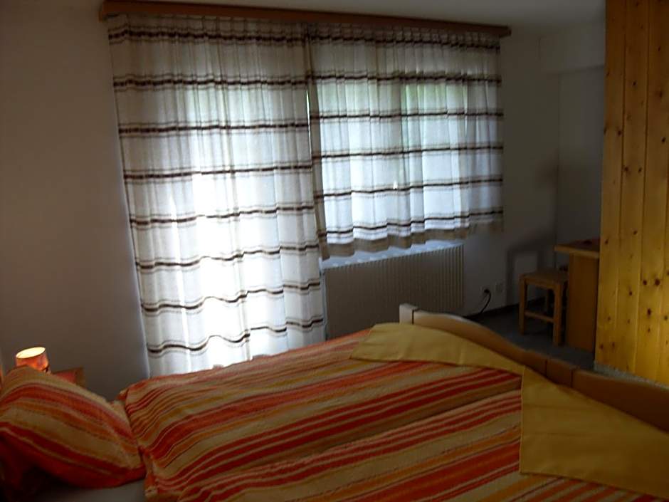 Hotel Alpina