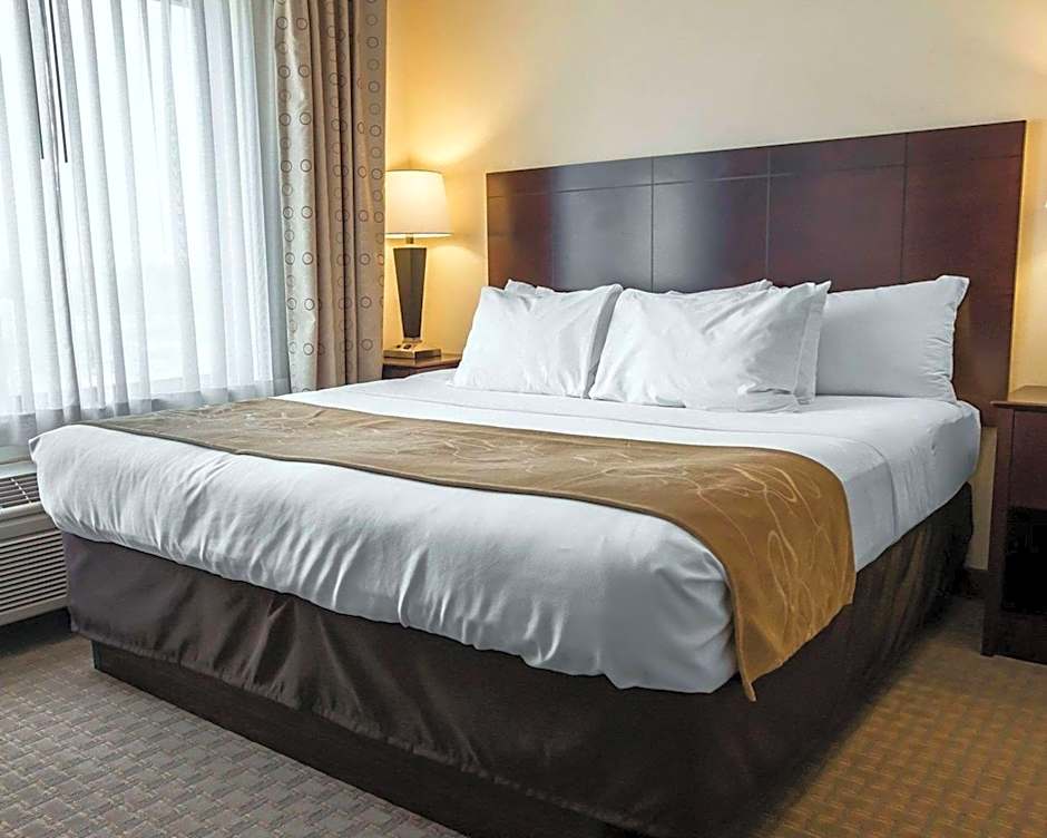 Comfort Suites University Area