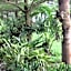 B&B Forest Hill Khao Yai