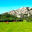 Costa Serena Village Boschetto Holiday