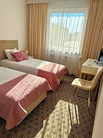 Business Plus Double or Twin Room with Air-Conditioning